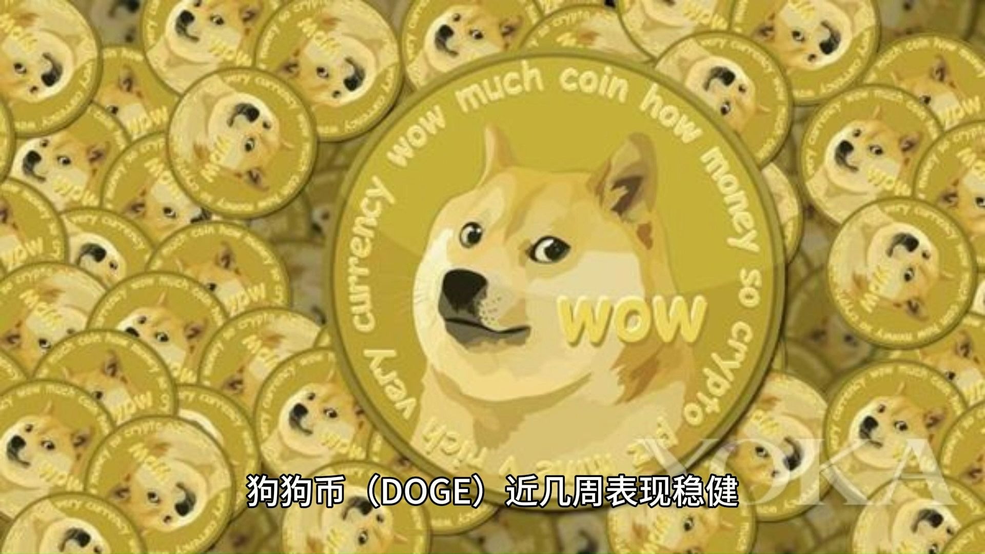 狗狗币突遭安全漏洞，流失高达20.29万美元